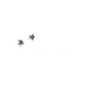 Cassine by KO - Home